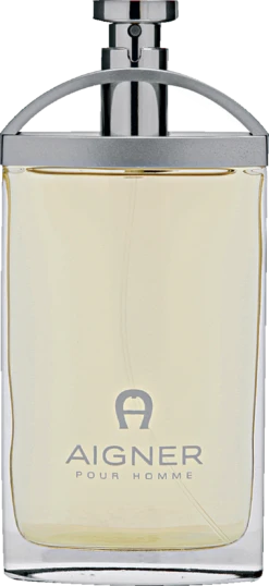 Etienne Aigner Pour Homme, EdT 100 Ml