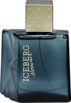 Iceberg Homme For Him, EdT 100 Ml
