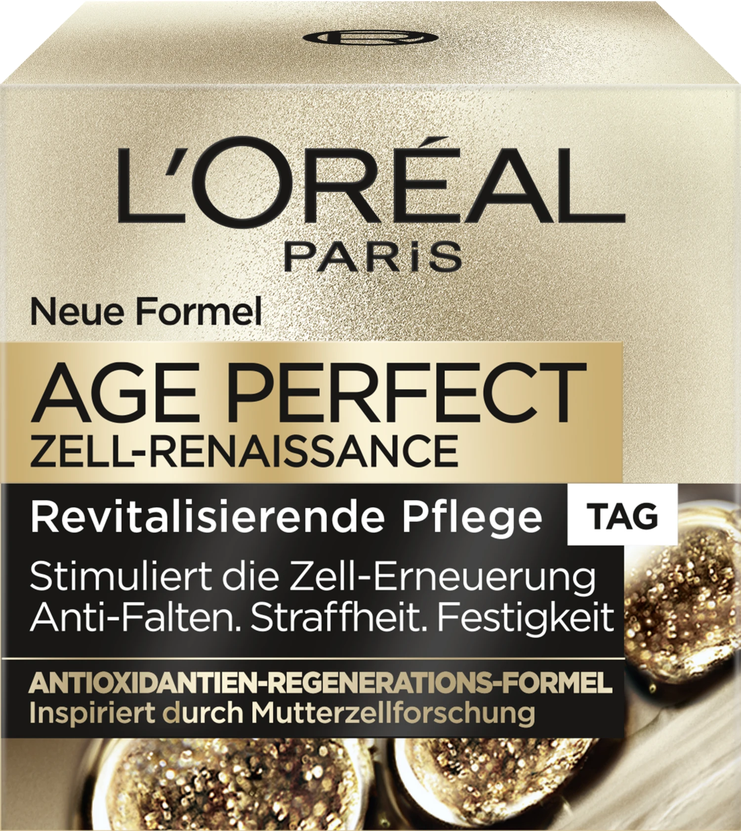 Zell Renaissance Tagespflege 1 Zell Renaissance Tagespflege