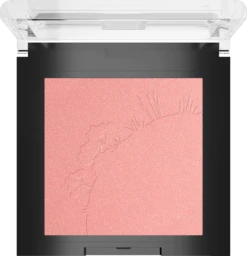 Sante Mineral Blush 01 Mellow Peach -Pflegeprodukte MAM 7916606 SHOP IMAGE 1.5