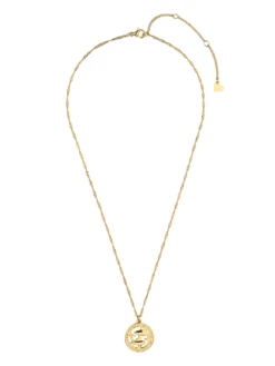 Accessories Sternzeichen-Kette Fische